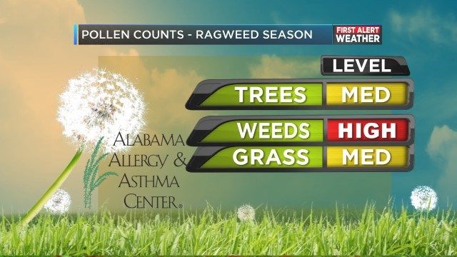 pollen count for alabama