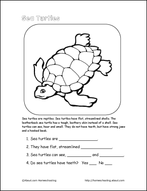 very large turtle crossword clue