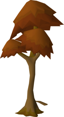 osrs maple tree