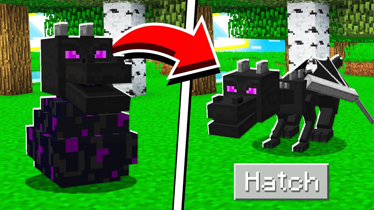 how to hatch the ender dragon egg