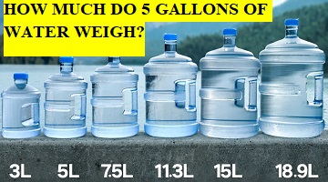 how many kg is a gallon