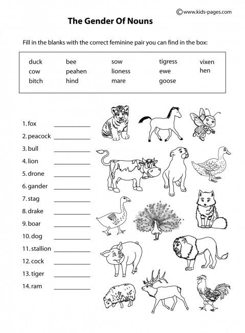 masculine and feminine gender worksheets for grade 1 pdf