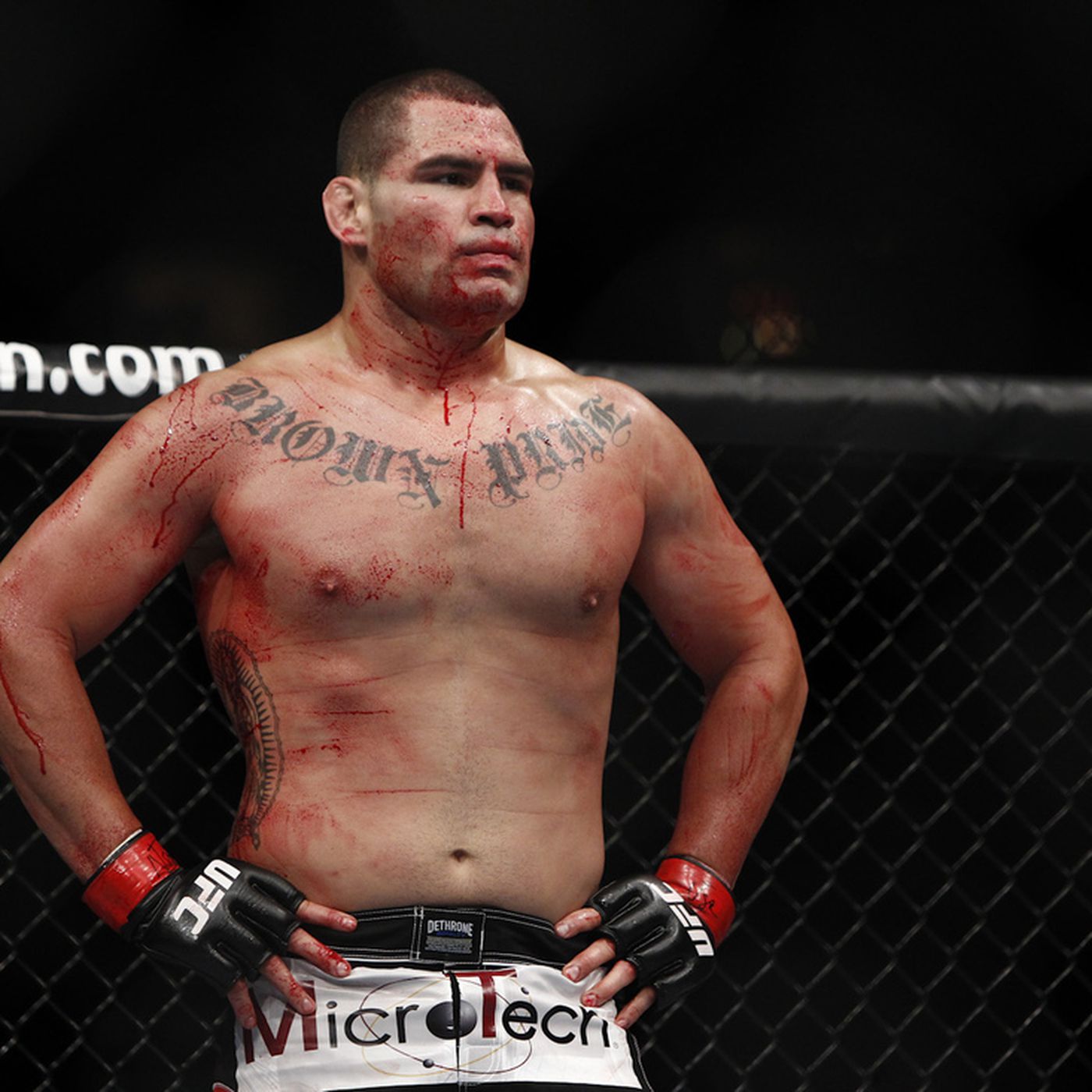 cain velasquez record