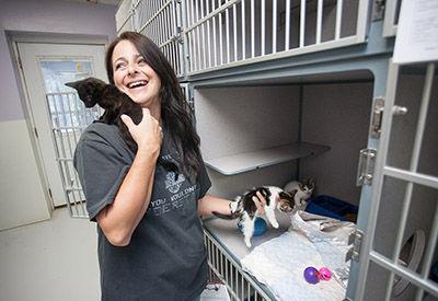 pell city animal shelter