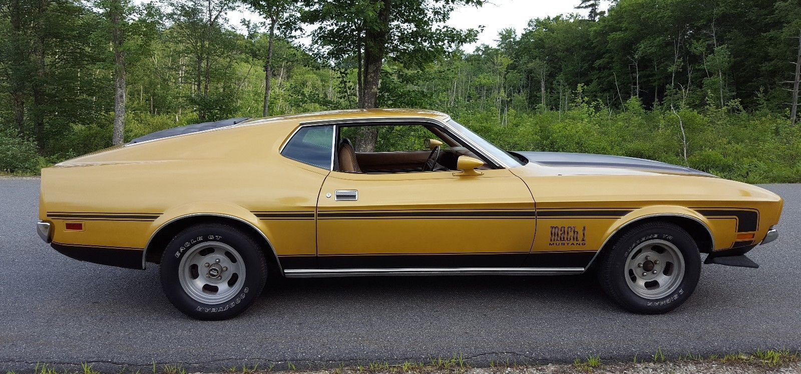 1972 mustang mach 1