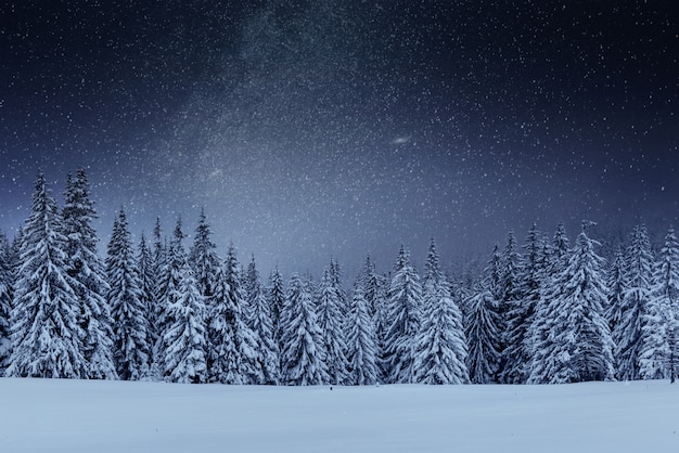 nighttime snow scene