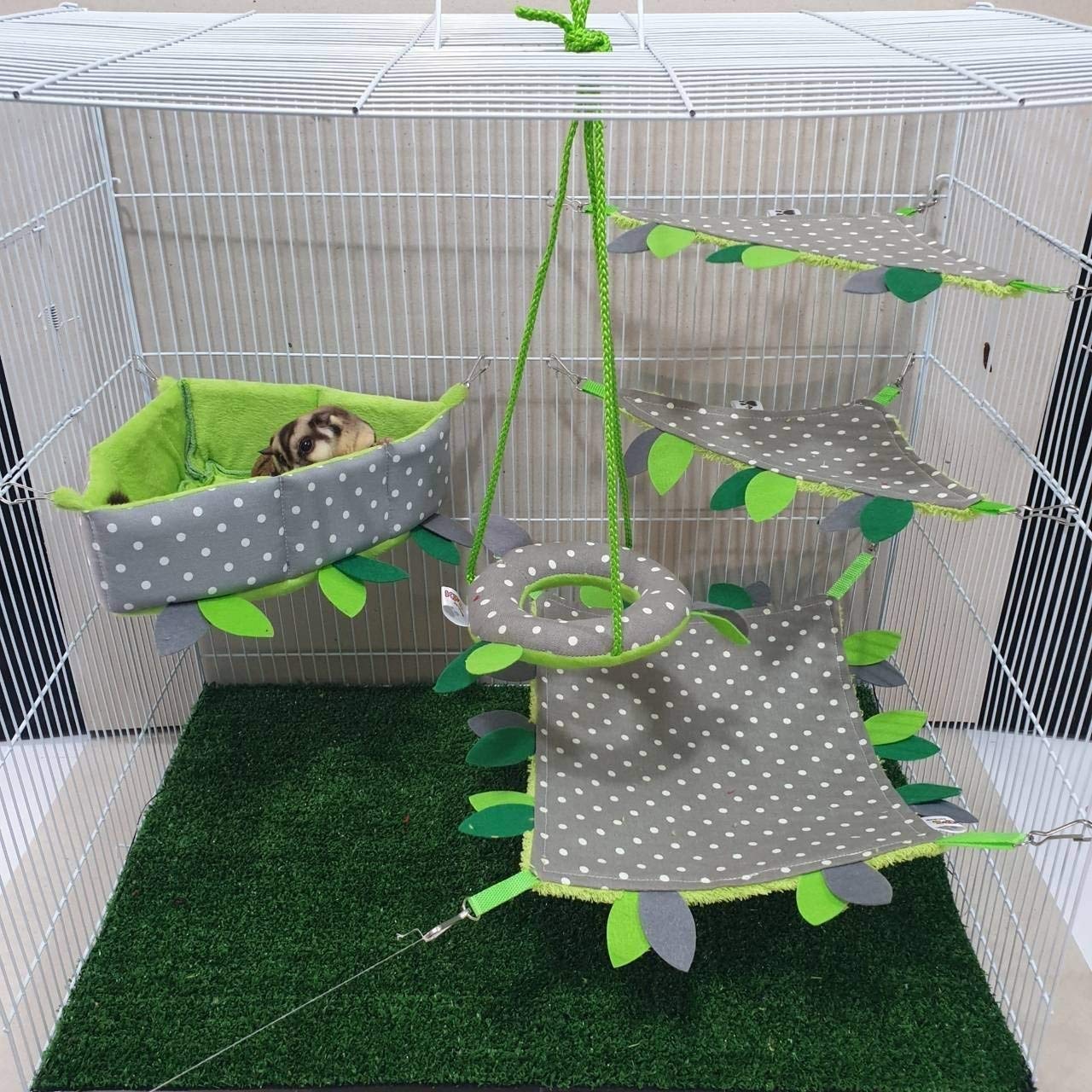 sugar glider cage