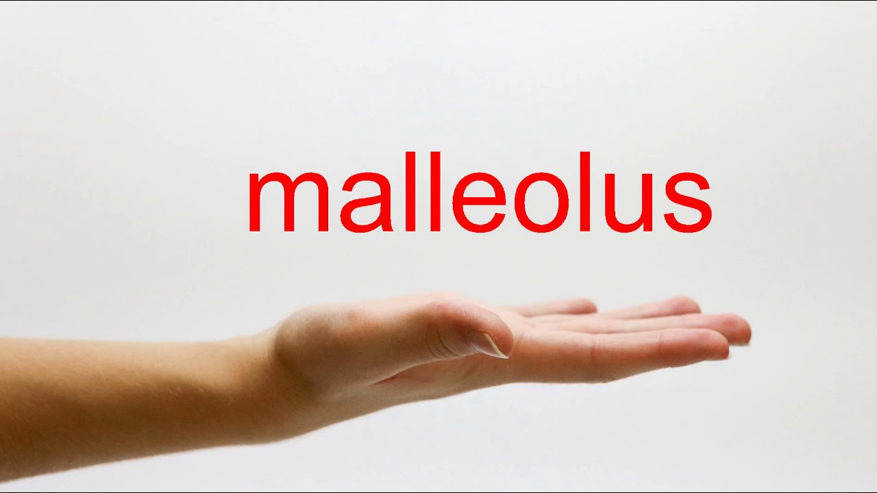 pronunciation of malleolus