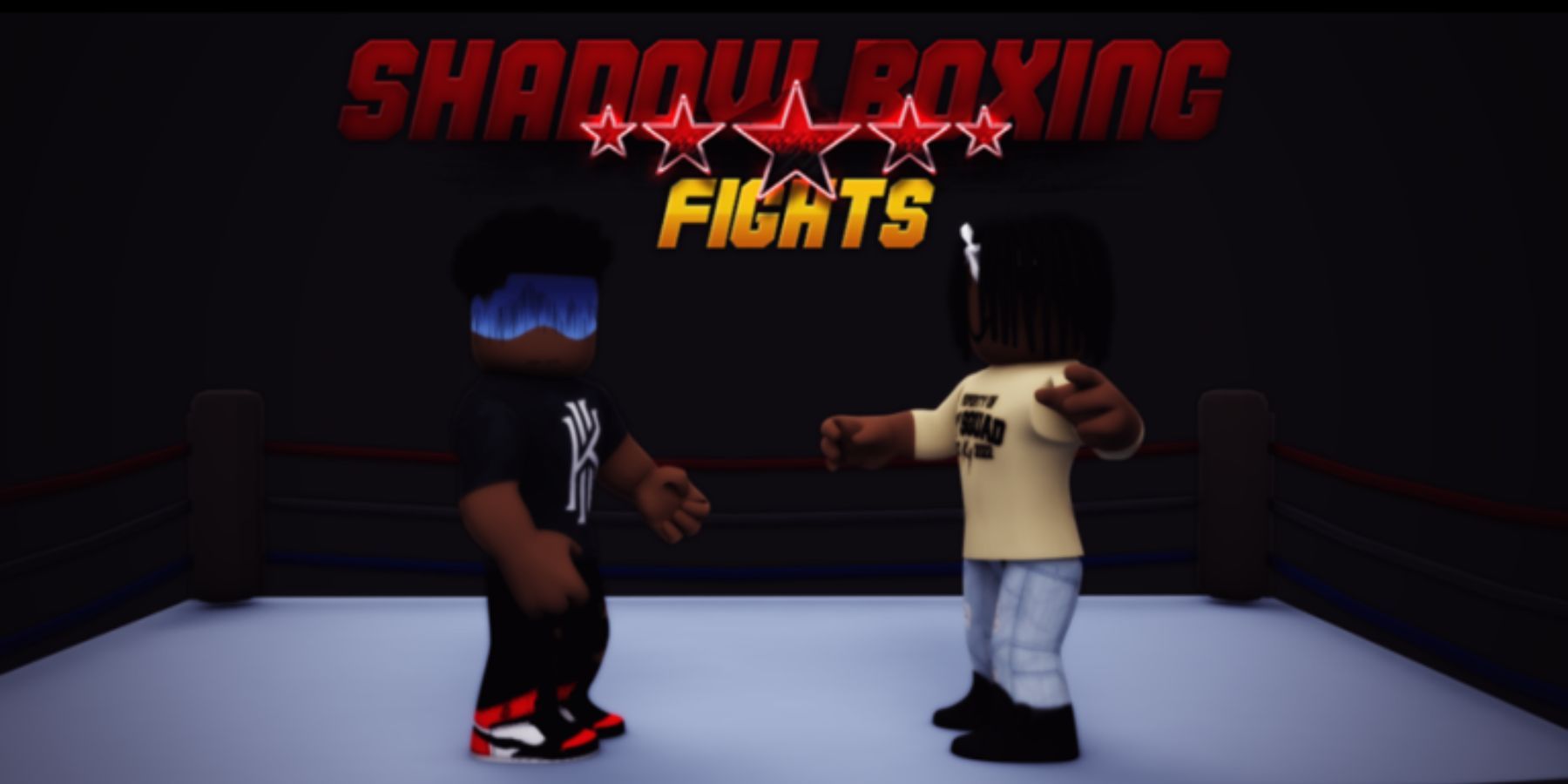 shadow boxing fights codes