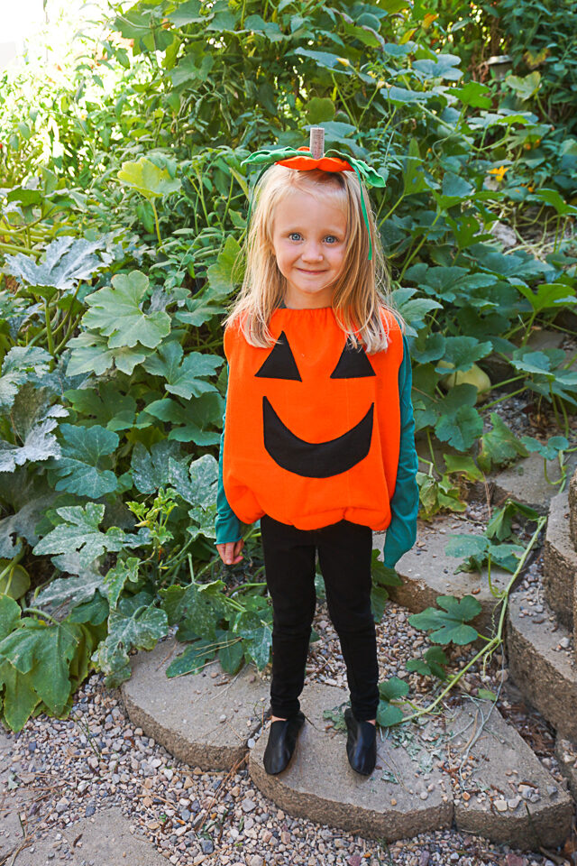 costumes for pumpkins