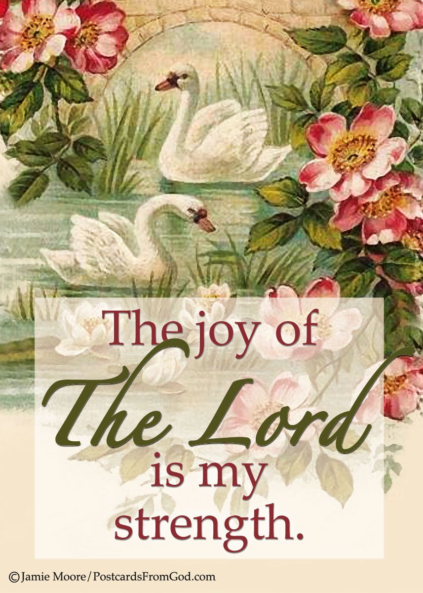 the joy of the lord is my strength kjv