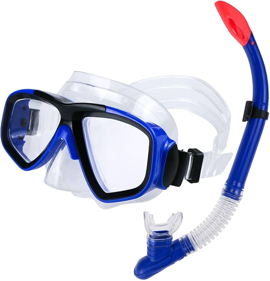 snorkeling gear nyt