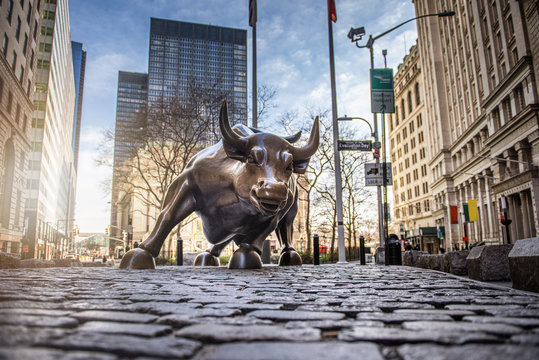 charging bull images