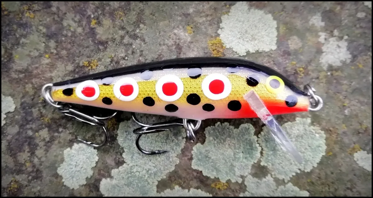 rapala spotted dog