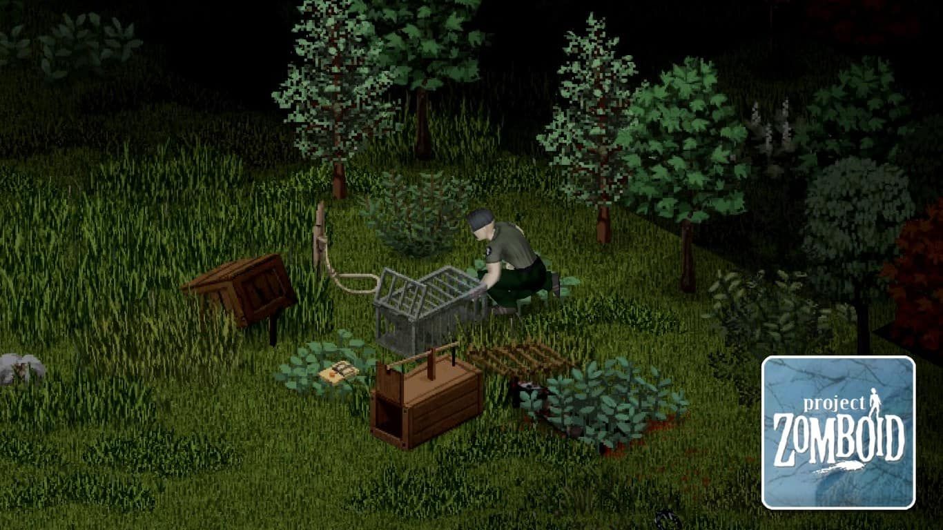 zomboid trapping