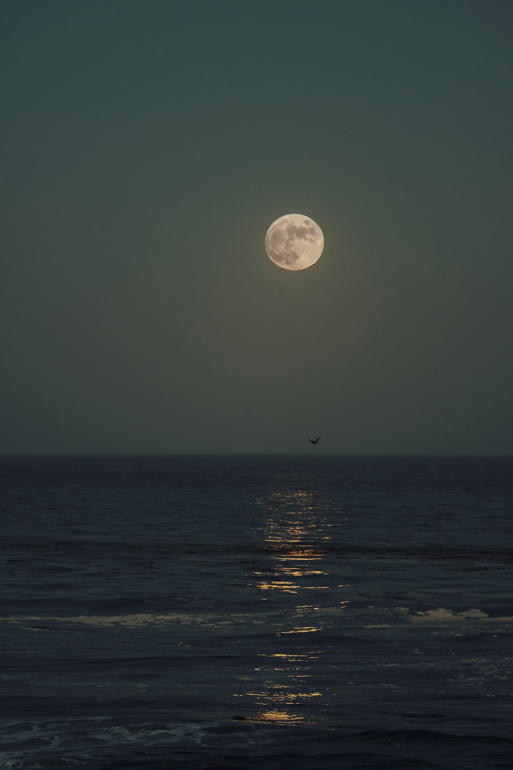 full moon sea wallpaper