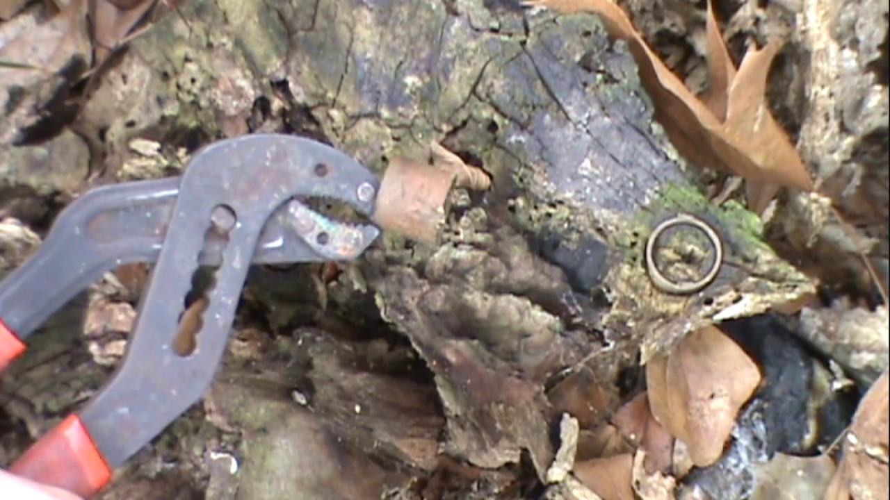 killing tree stumps copper nails