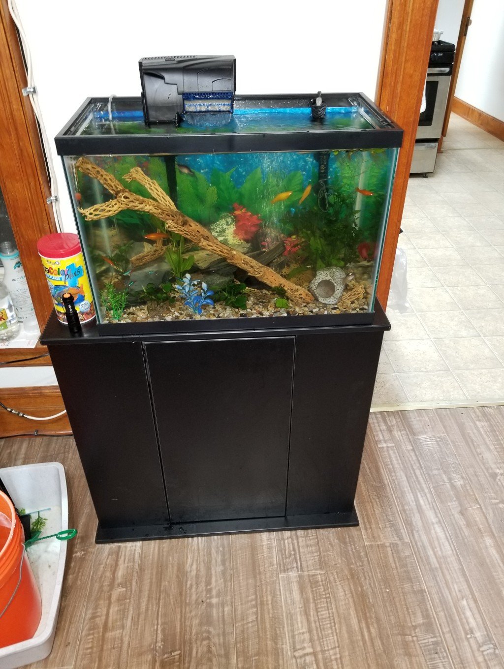 20 gallon tall aquarium dimensions