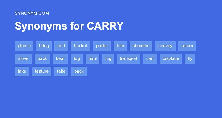 another word for carry out