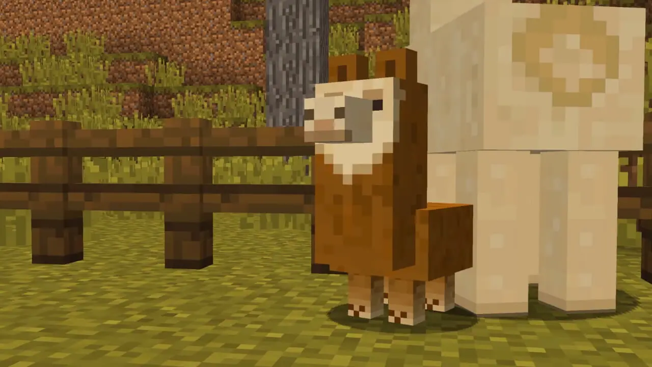 minecraft breeding llamas