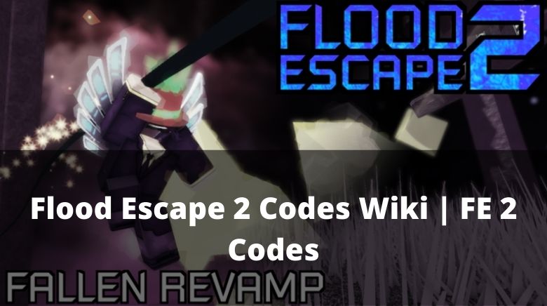 codes for fe2