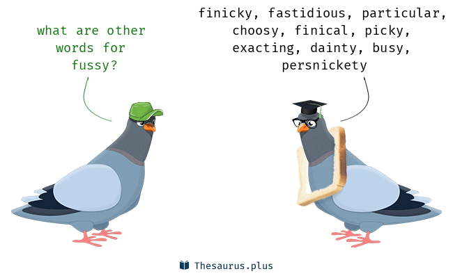 synonyms fussy