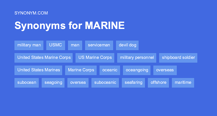 marine synonym