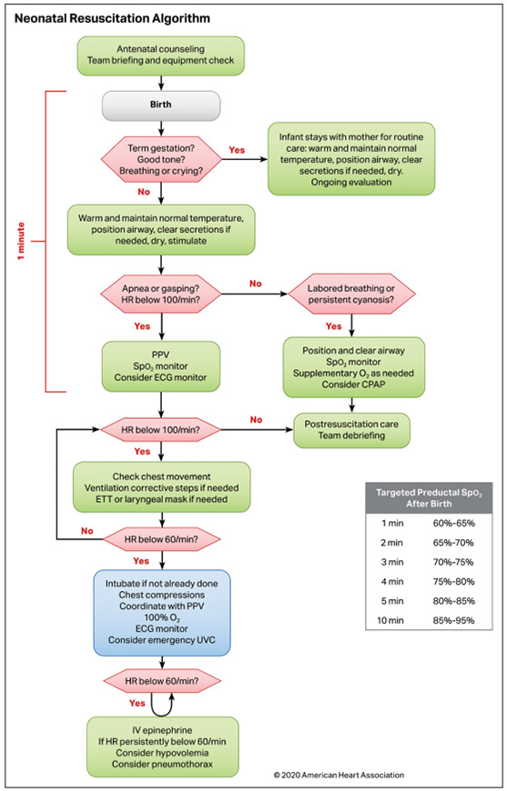 acls algorithm