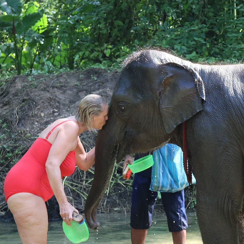 khao lak elephant home