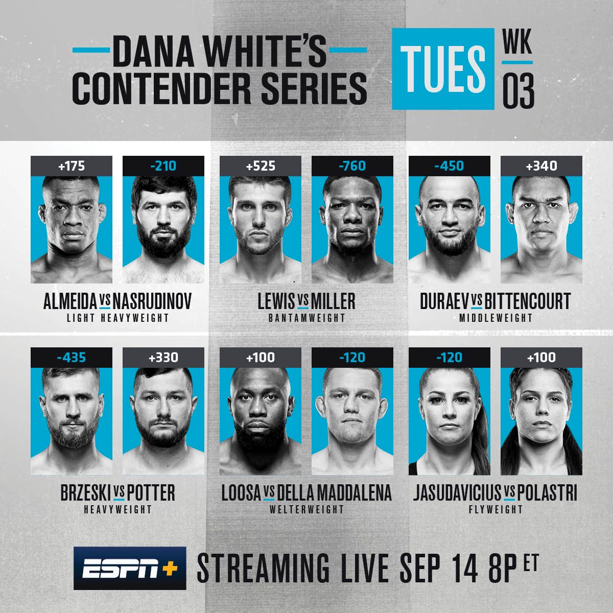 dana whites contender series