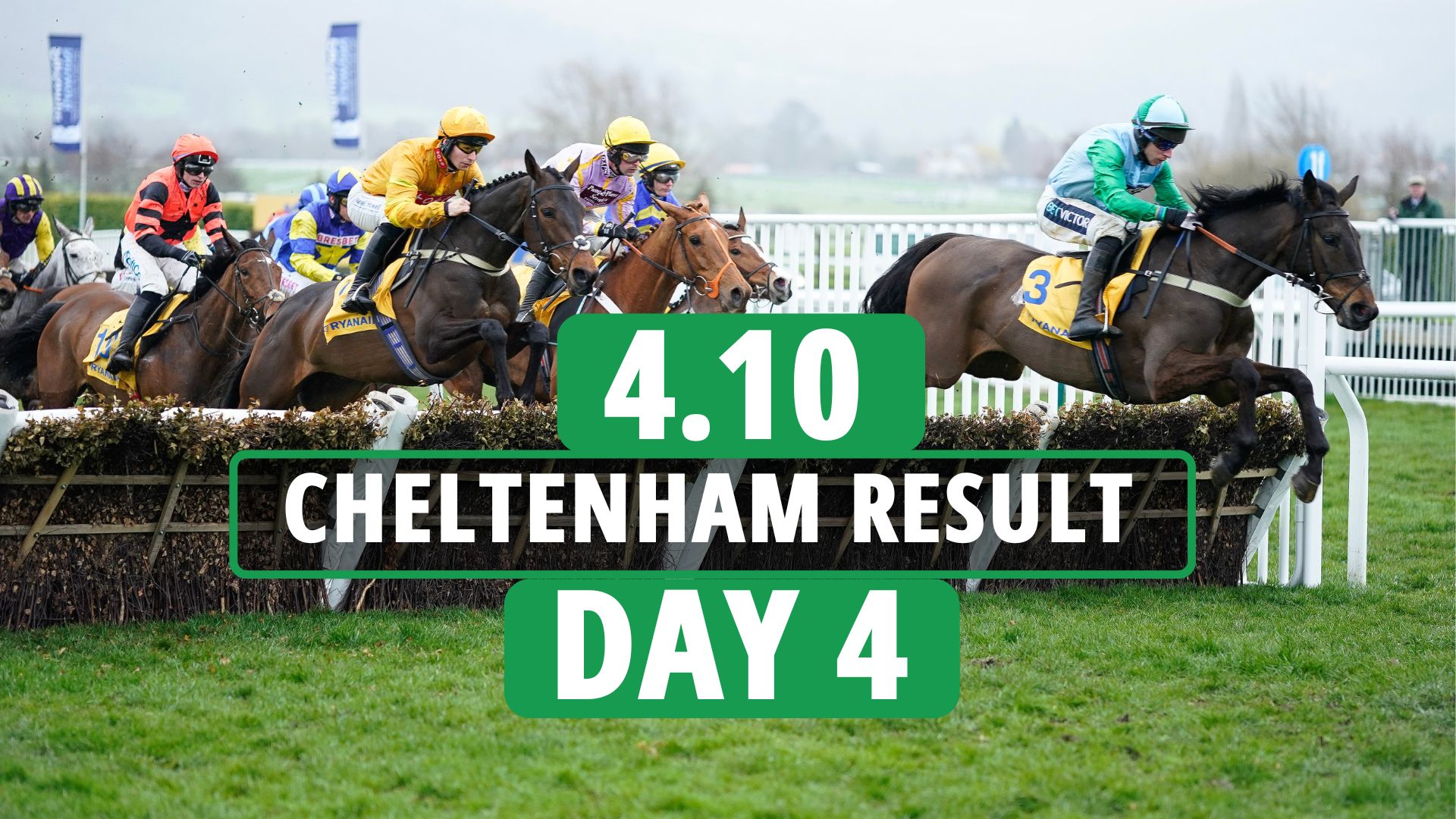 cheltenham races results