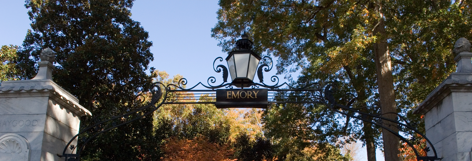 emory opus