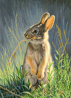 rabbit painting images