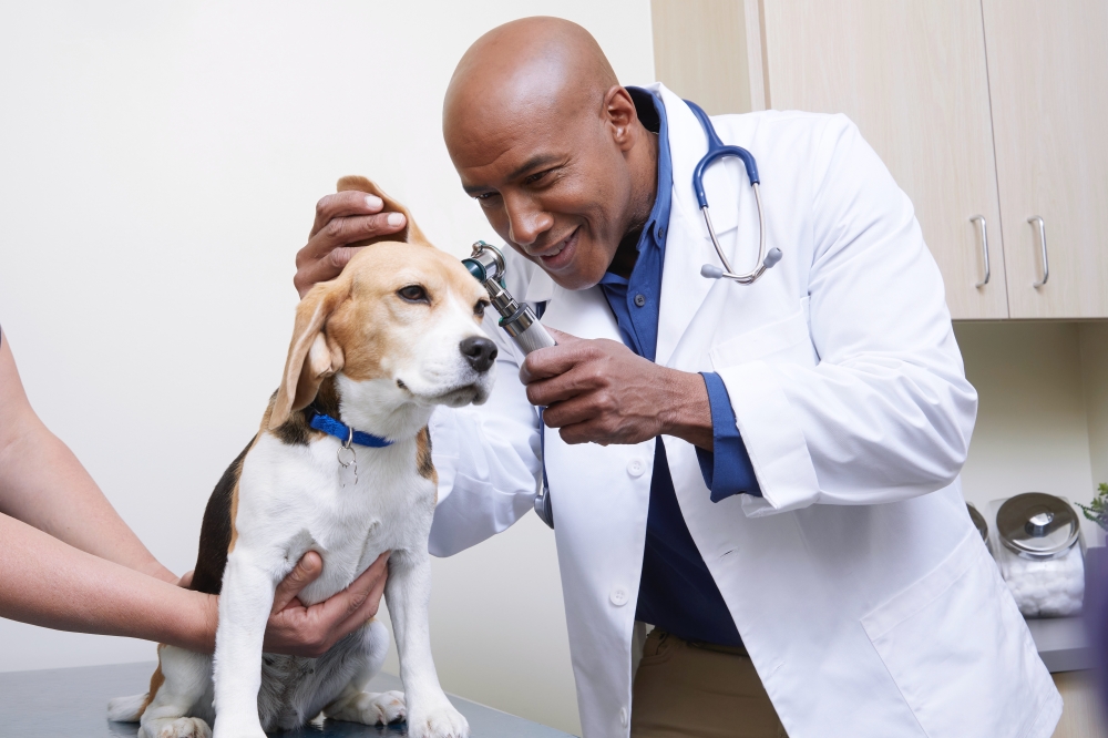 petco vet clinic