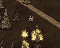 fire dart don t starve