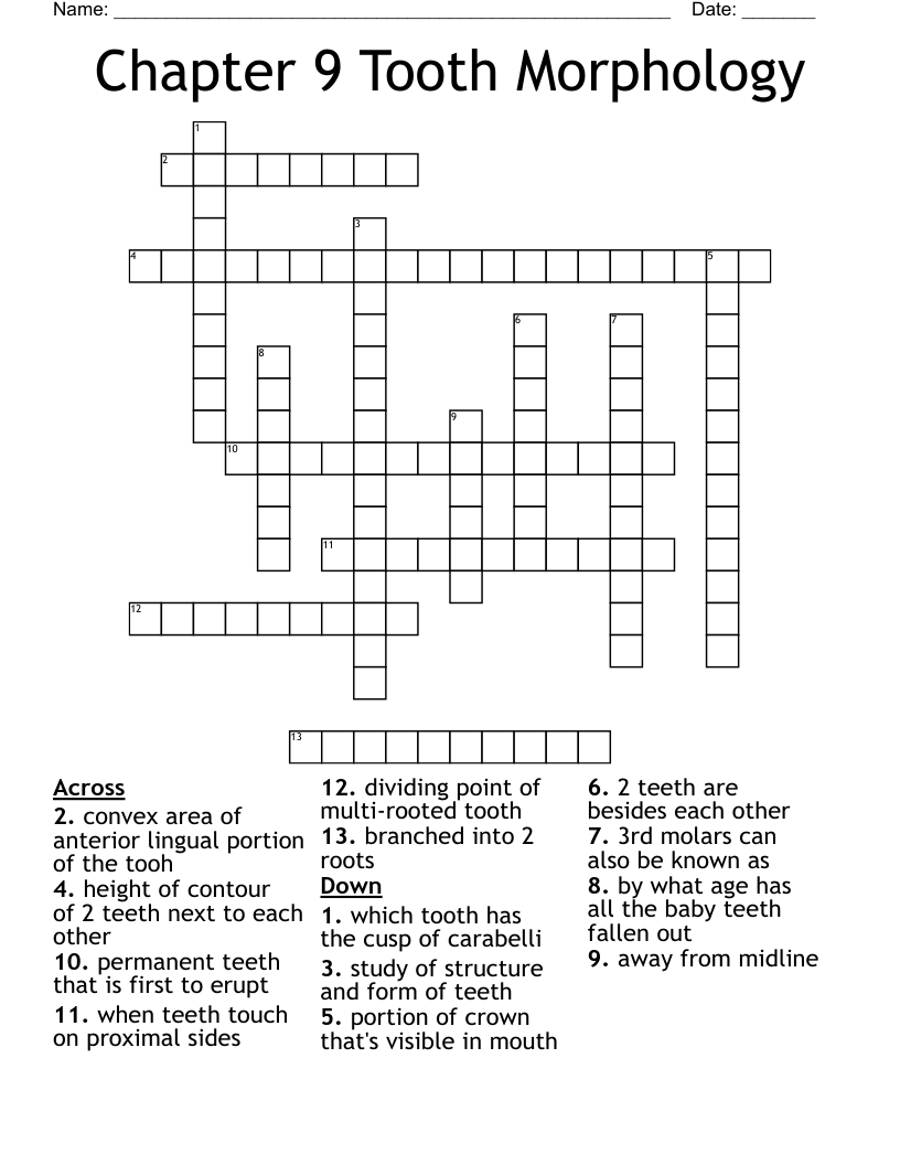 pointed tooth crossword clue