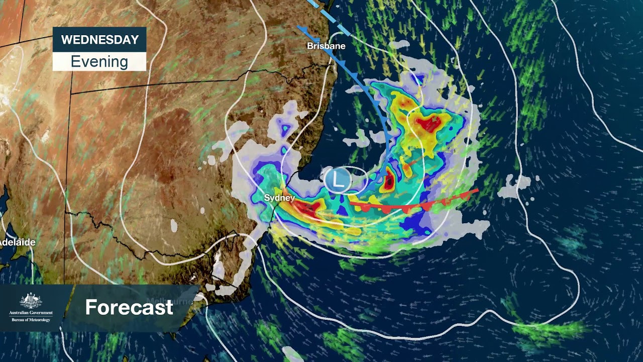 bom sydney forecast