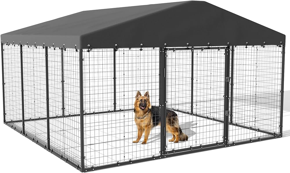 large outdoor kennel