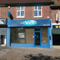 the vet whetstone