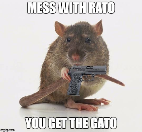 gat meme