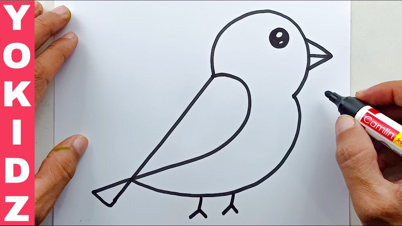 how to draw a simple bird