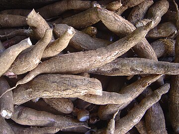 cassava meaning in tamil