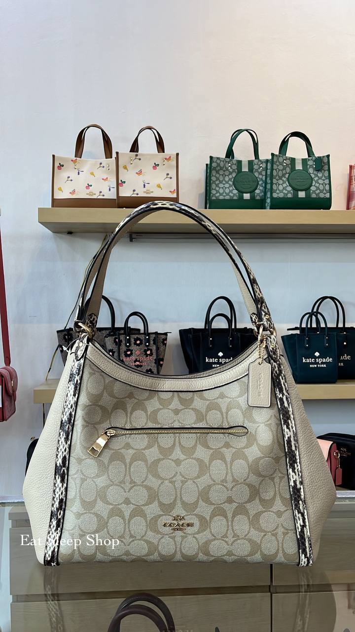 coach new york bag price