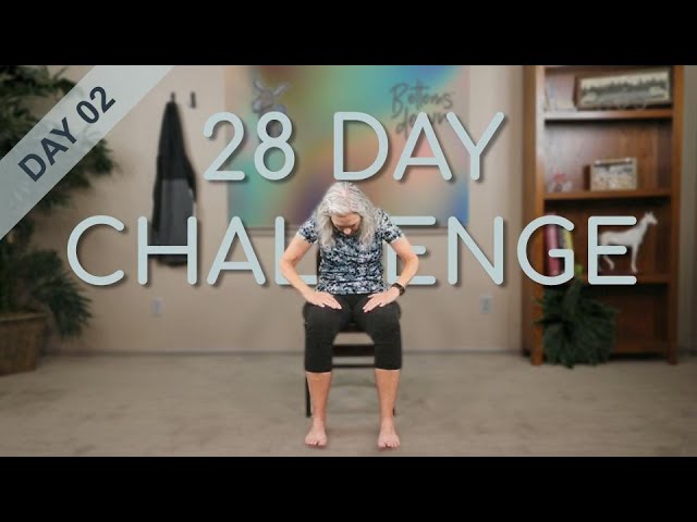 28 day chair yoga for seniors