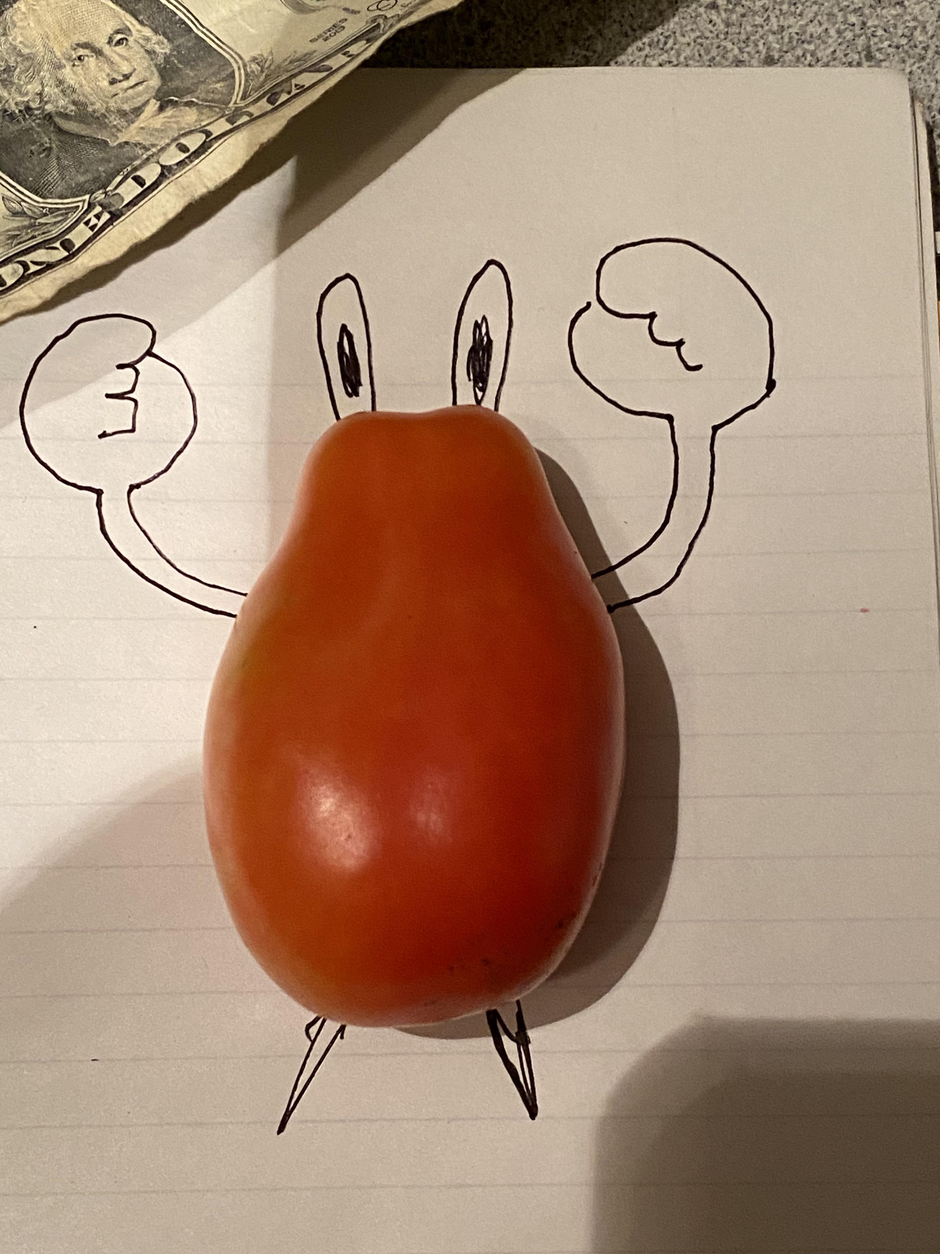 mr krabs tomato