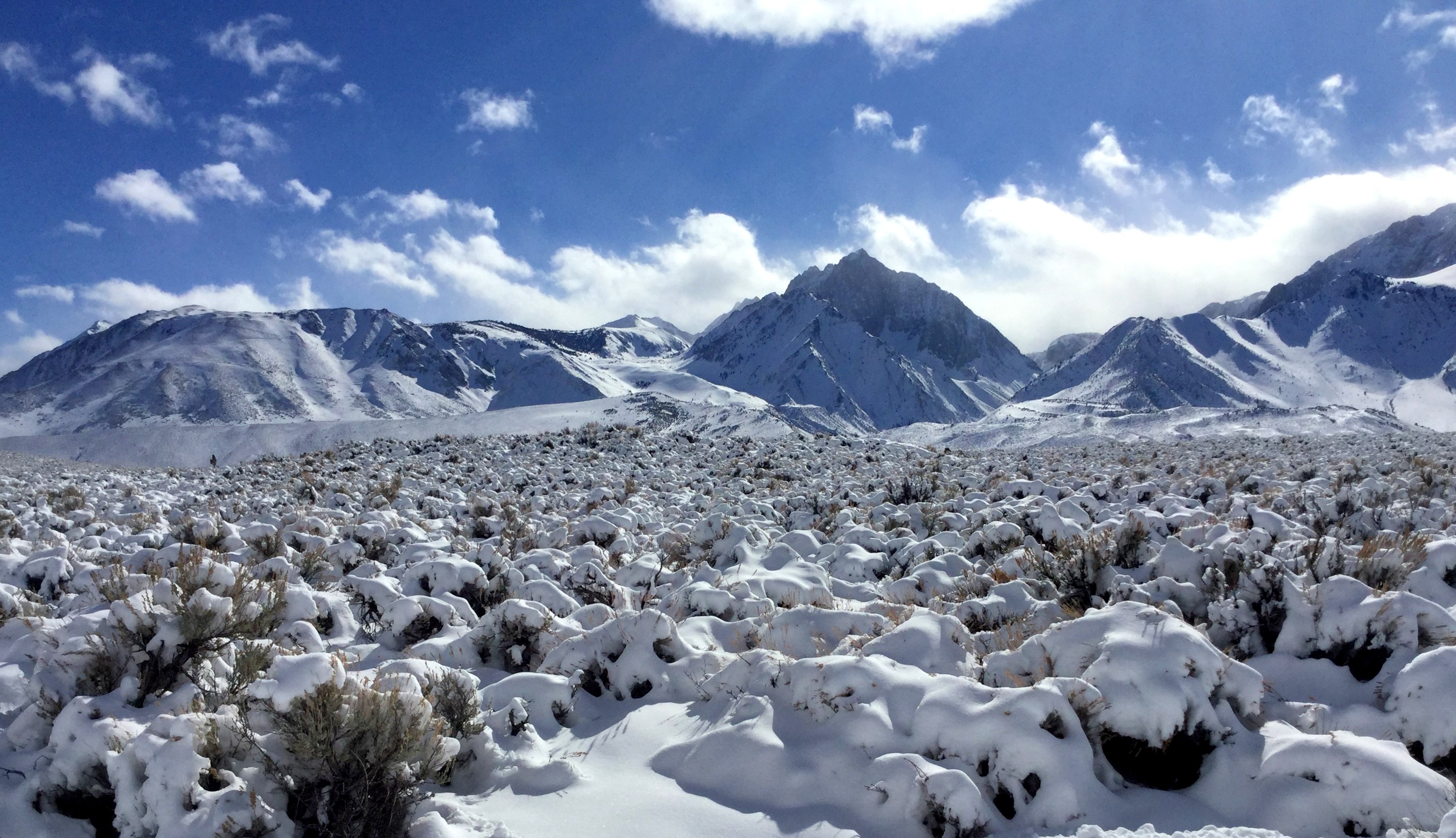 highway 395 conditions