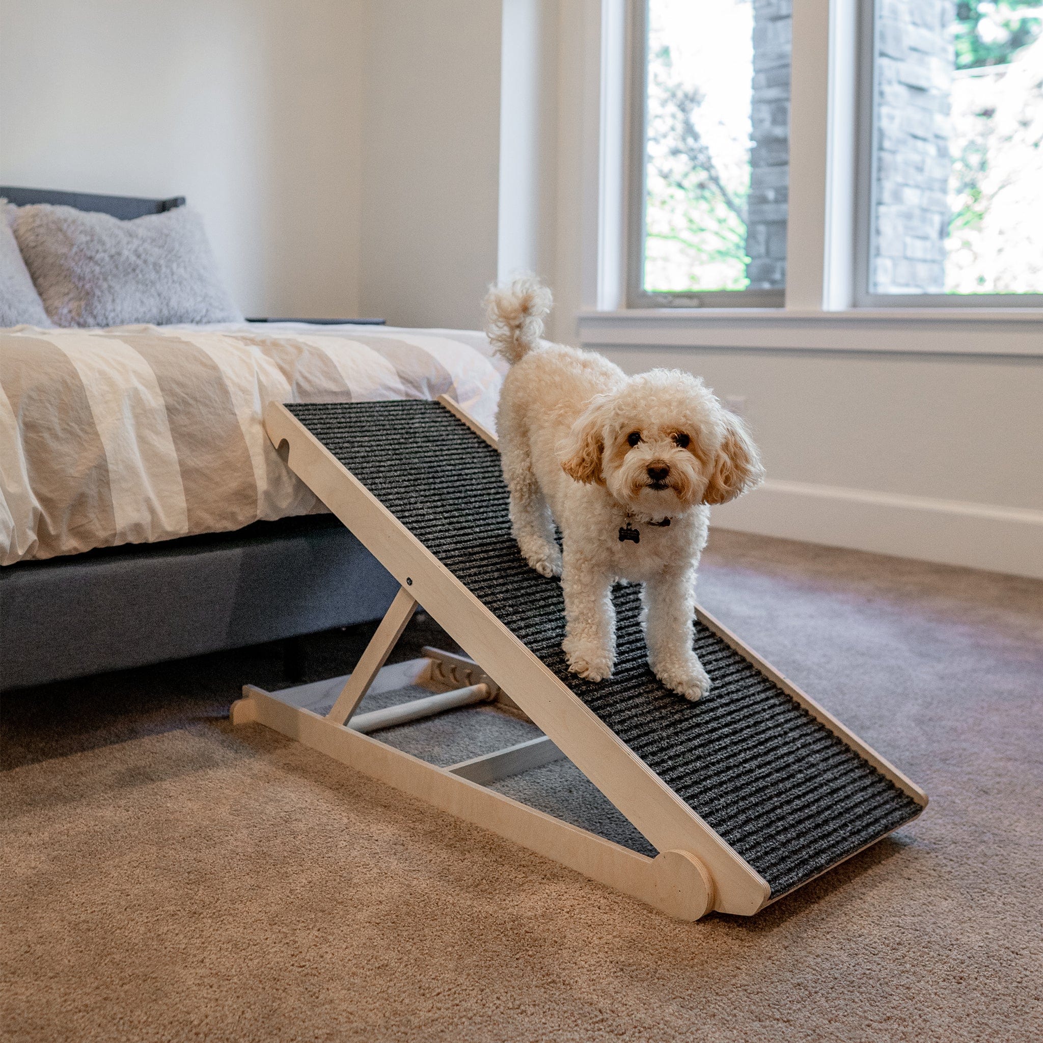 dog ramp for bed