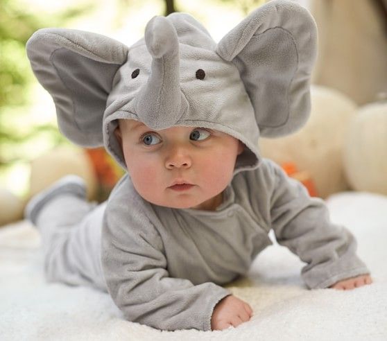 newborn elephant costume