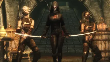 skyrim best assassin mods