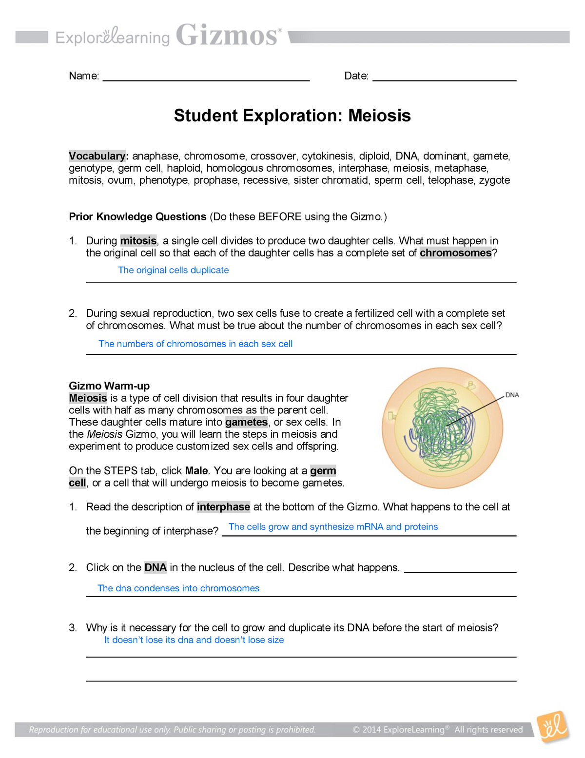 gizmo student exploration